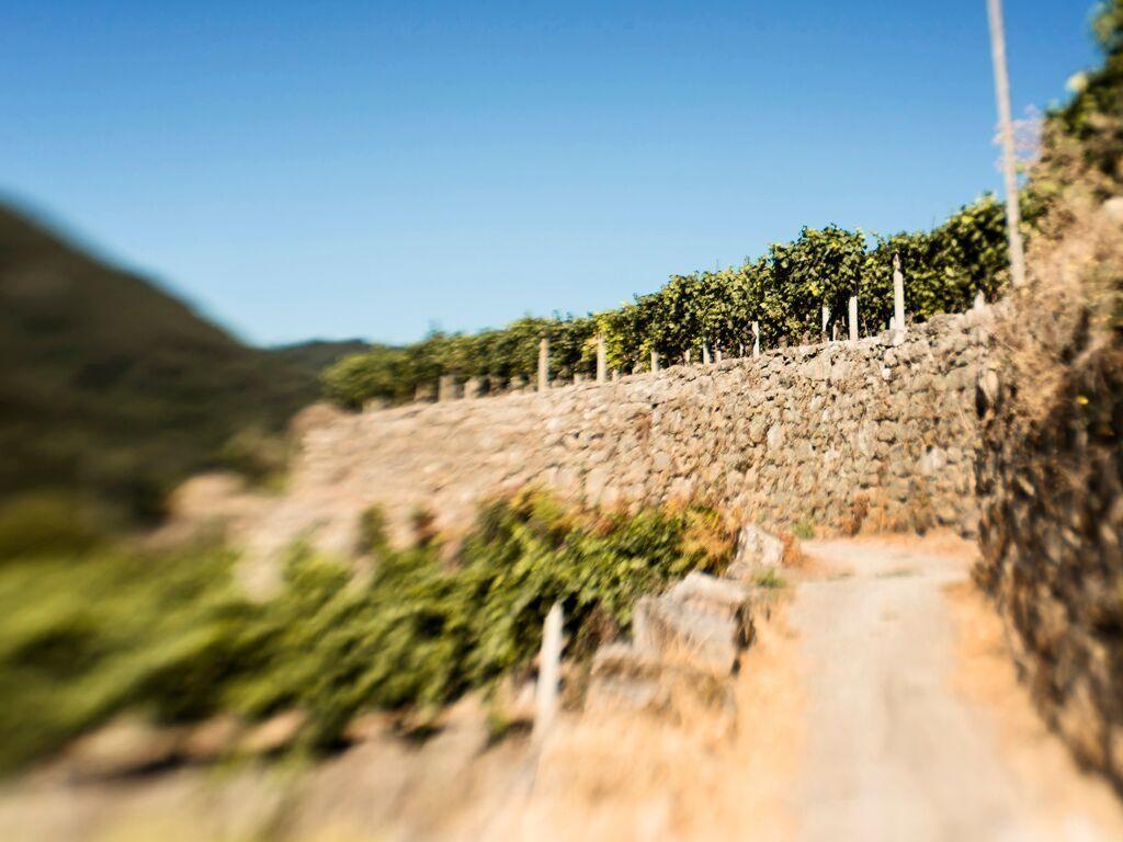 Affittacamere Aldea Rural Pazos De Arenteiro Esterno foto